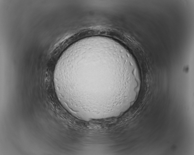 X0000116111302200912141011