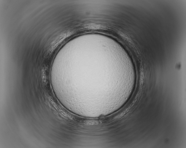 X0000116111305200912141011