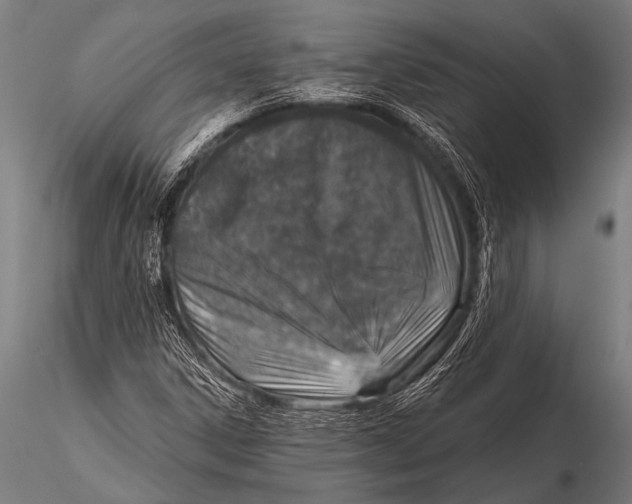 X0000116111306200912141011