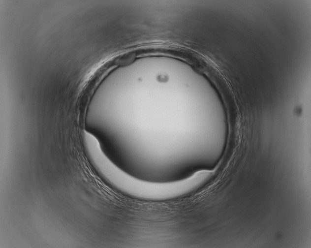 X0000116111310200912141011