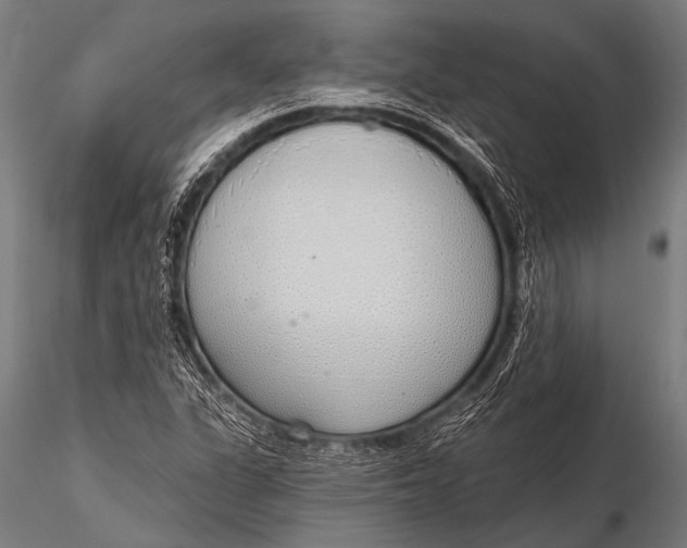 X0000116111311200912141011