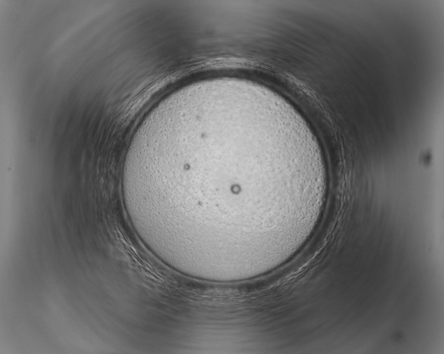 X0000116111313200912141011