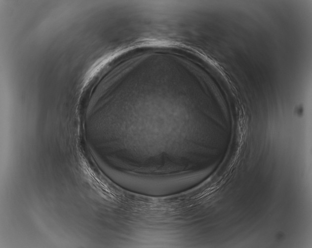 X0000116111319200912141011