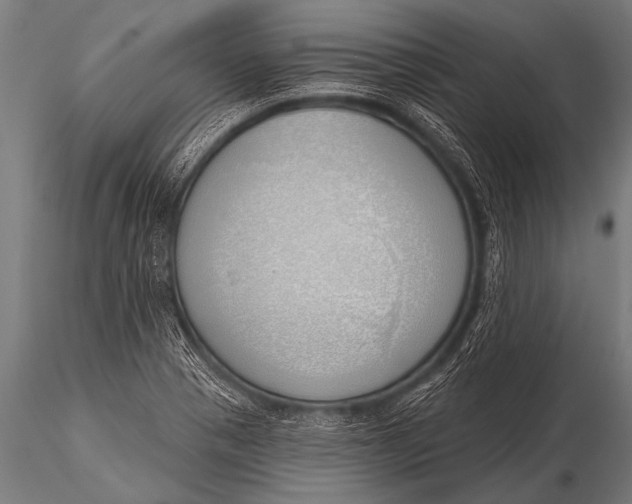 X0000116111321200912141011