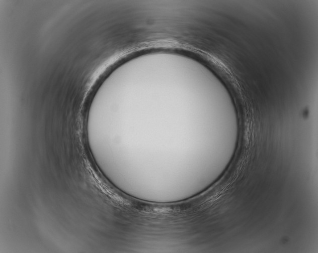 X0000116111326200912141011