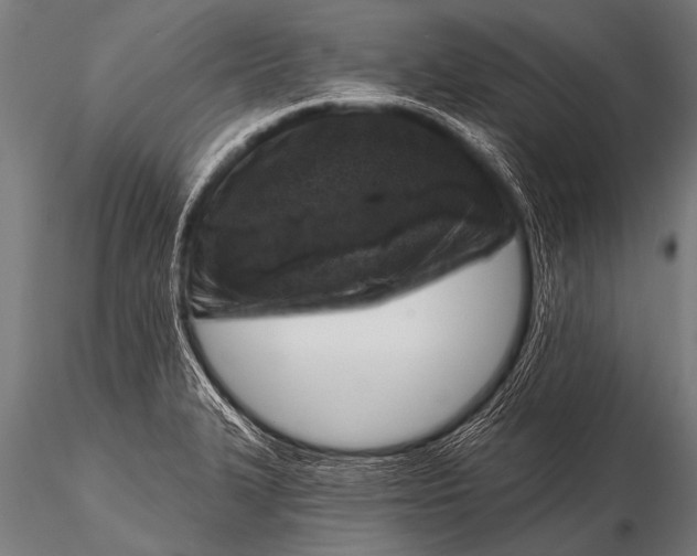 X0000116111327200912141011