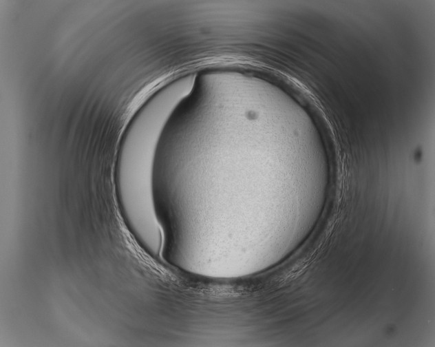 X0000116111330200912141011