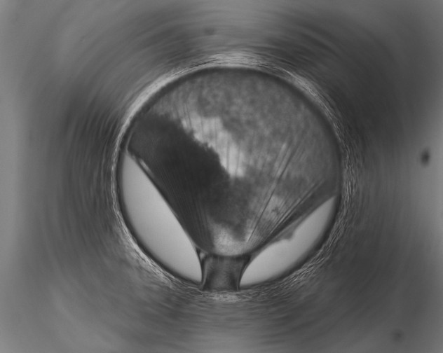 X0000116111331200912141011