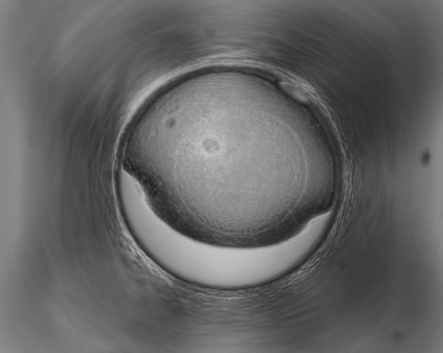 X0000116111334200912141011