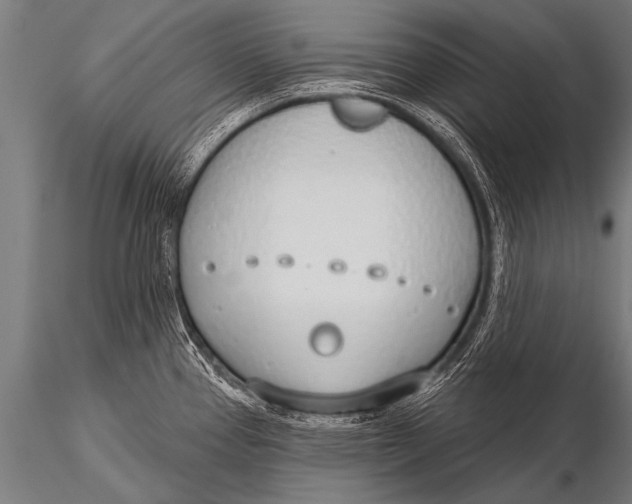 X0000116111337200912141011