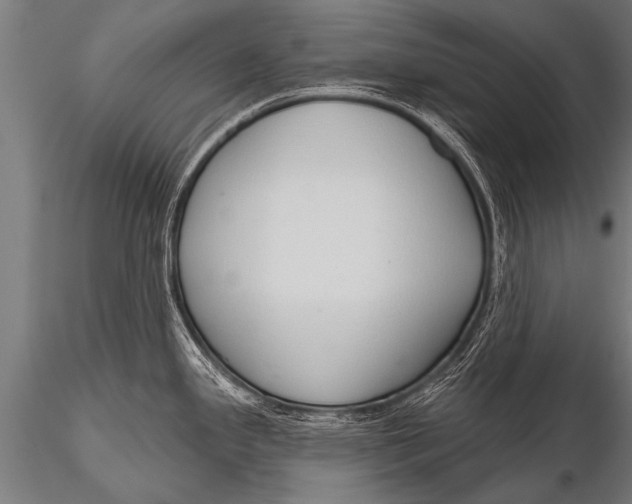 X0000116111341200912141011