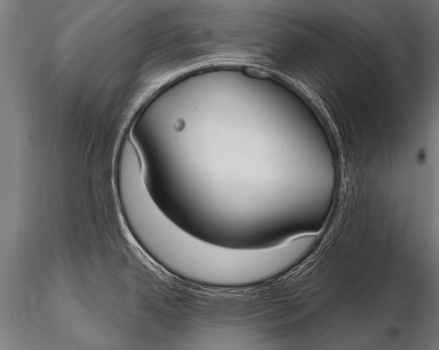 X0000116111342200912141011