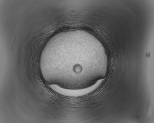 X0000116111345200912141011