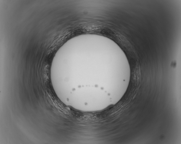 X0000116111346200912141011