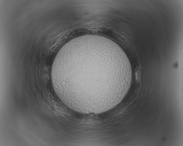 X0000116111347200912141011