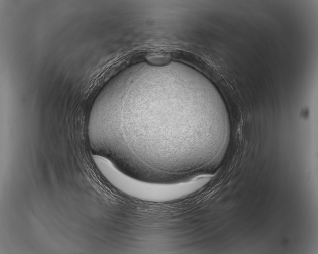 X0000116111348200912141011