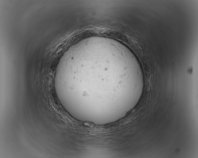 X0000116111349200912141011