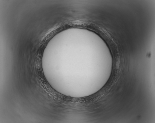 X0000116111350200912141011