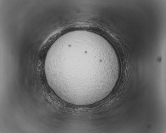 X0000116111351200912141011