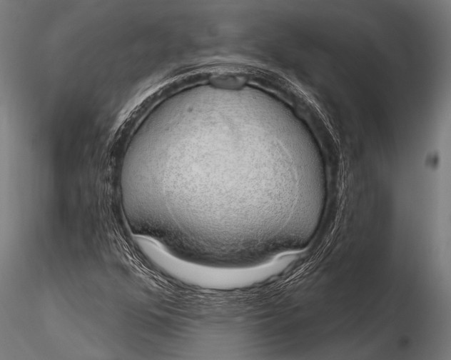 X0000116111352200912141011