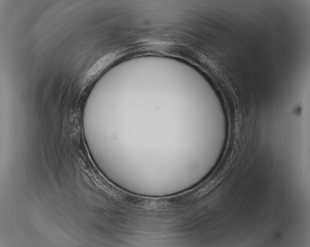 X0000116111354200912141010