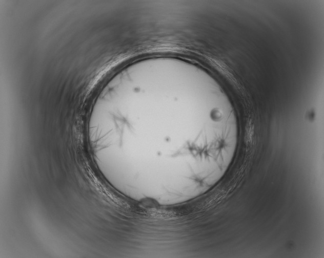 X0000116111356200912141010