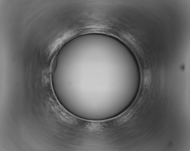 X0000116111357200912141010