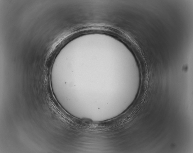 X0000116111360200912141010