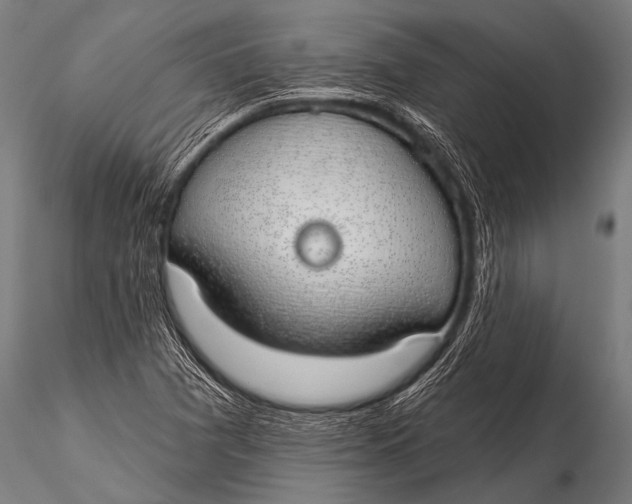 X0000116111361200912141010