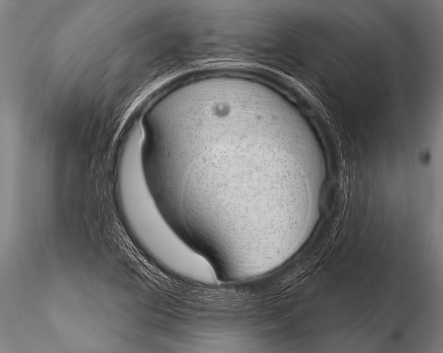 X0000116111364200912141010