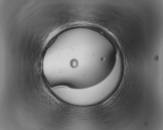 X0000116111365200912141010