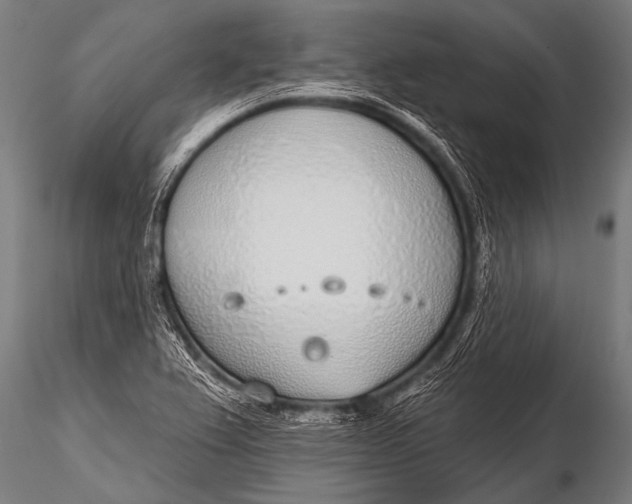 X0000116111367200912141010