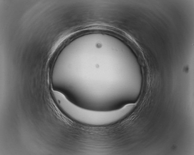 X0000116111368200912141010