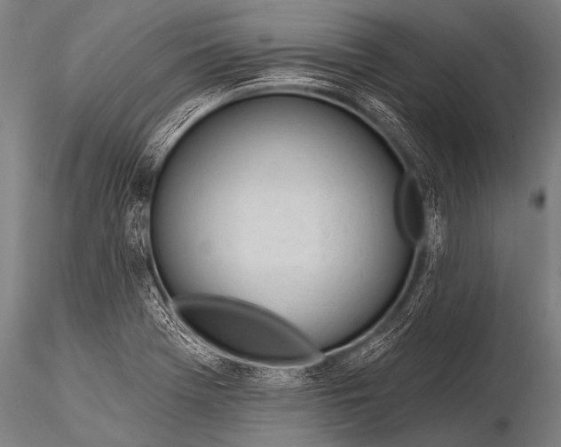 X0000116111369200912141010