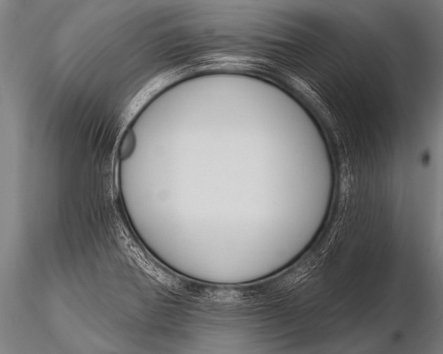 X0000116111370200912141010