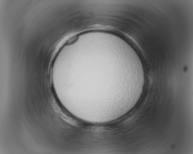 X0000116111371200912141010