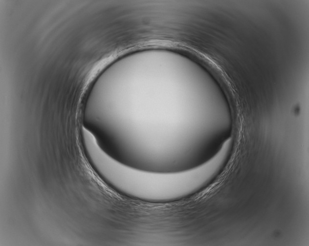 X0000116111373200912141010