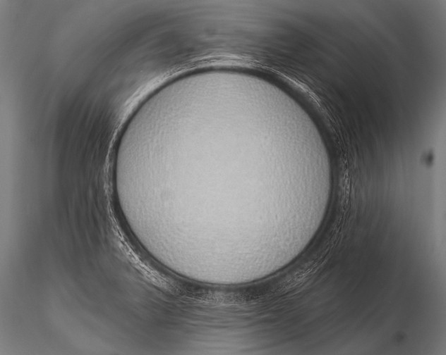 X0000116111375200912141010