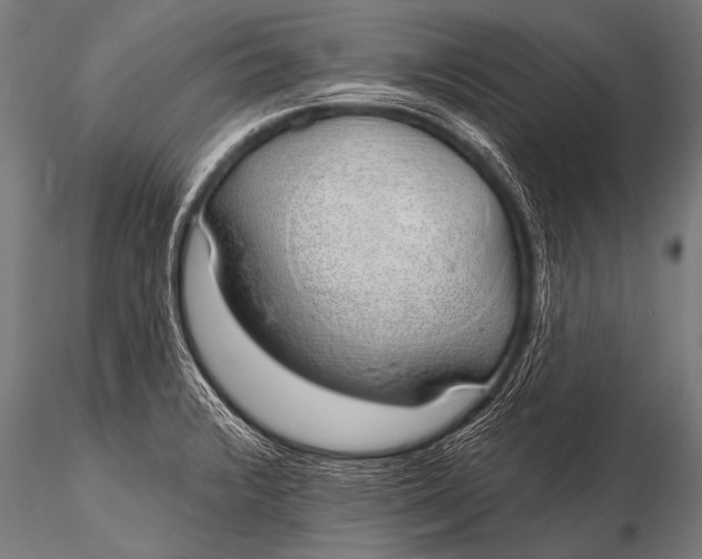 X0000116111376200912141010