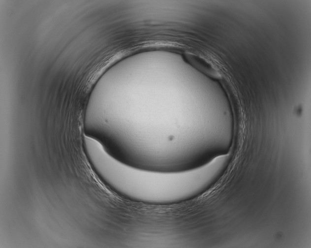 X0000116111377200912141010