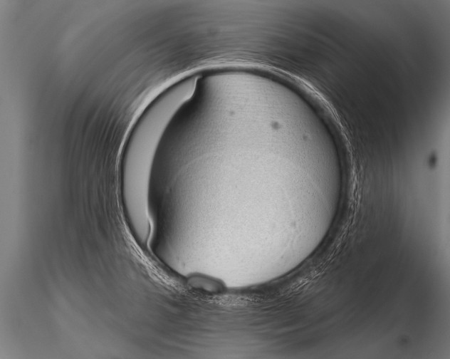 X0000116111380200912141010