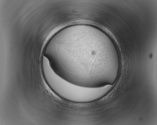 X0000116111381200912141010