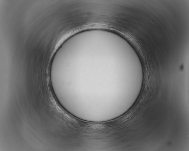 X0000116111382200912141010