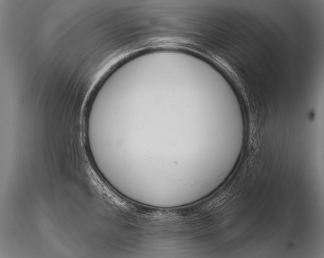 X0000116111384200912141010