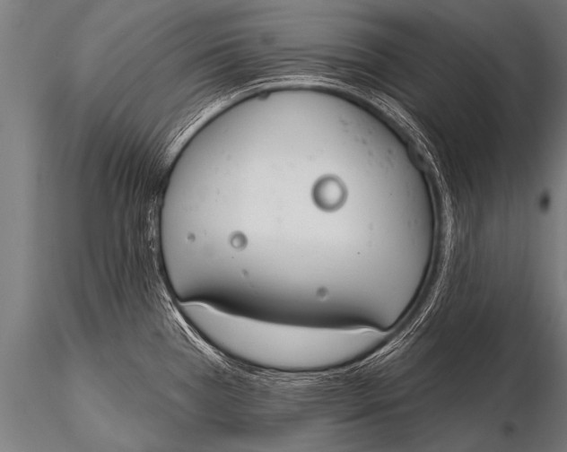 X0000116111385200912141010