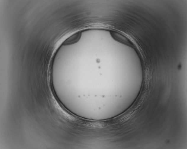 X0000116111387200912141010