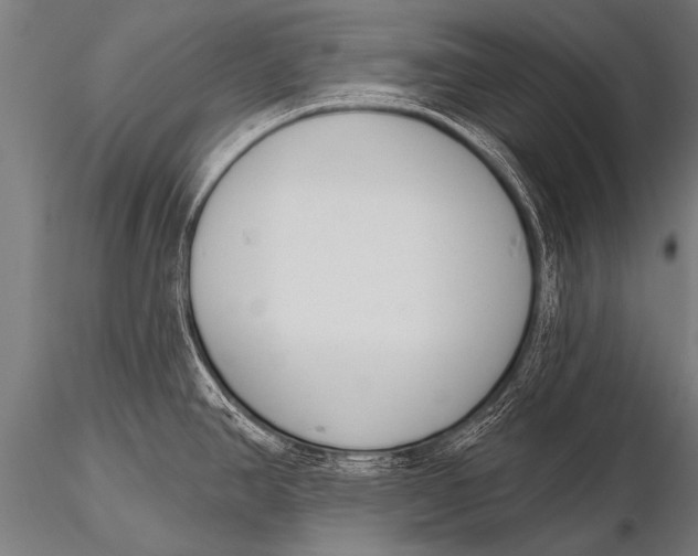 X0000116111390200912141010