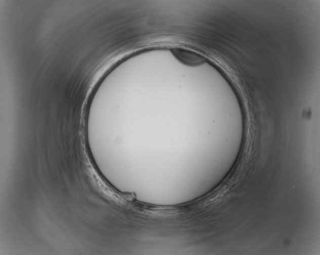 X0000116111392200912141010