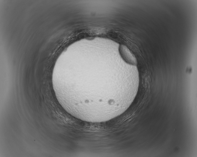 X0000116111393200912141009