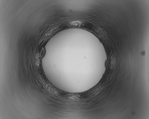 X0000116111394200912141009